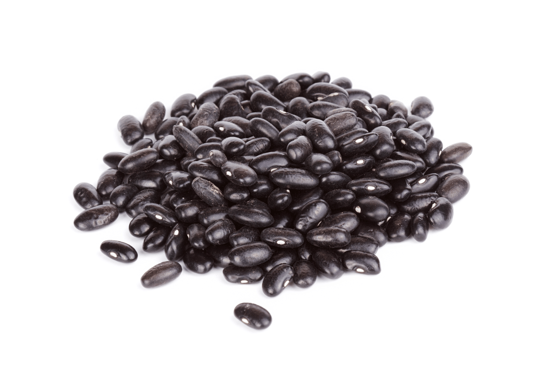 Are black beans low FODMAP? All of your questions answered THE IBS