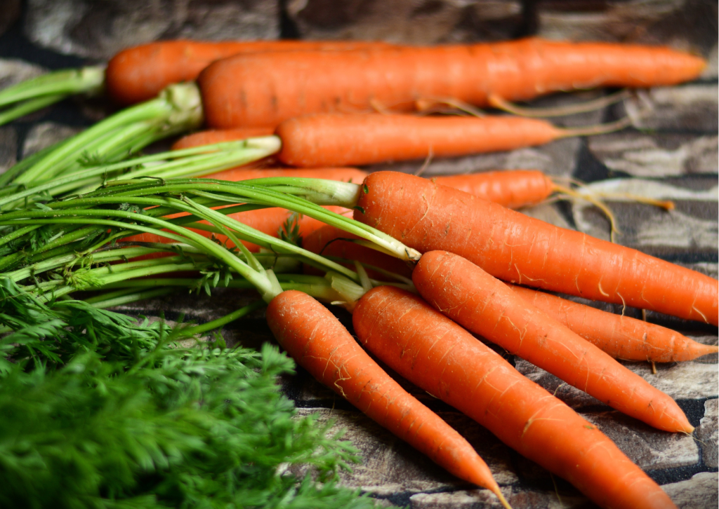 Are carrots low fodmap the ibs dietitian