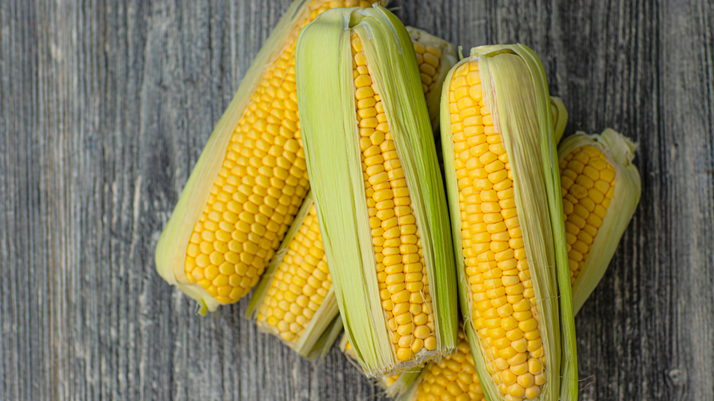 is-corn-low-fodmap-safe-list-avoid-list-included-the-ibs-dietitian