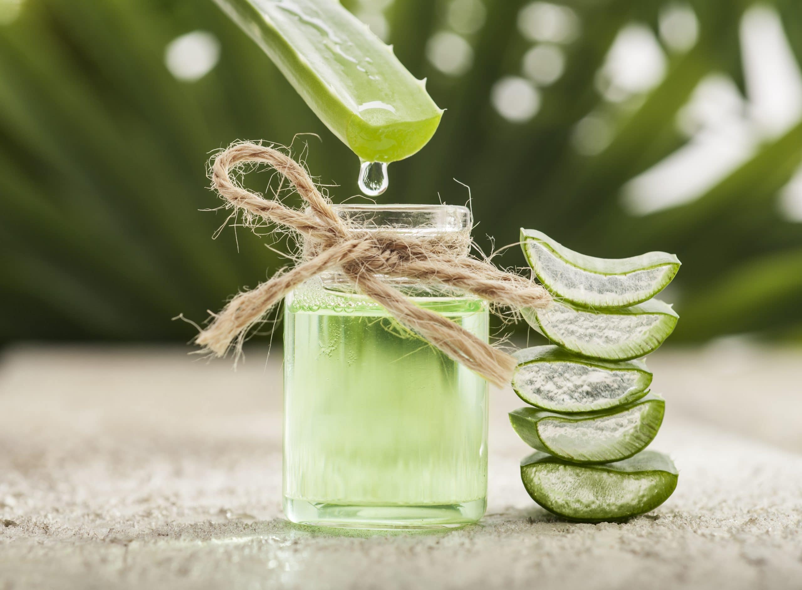 aloe benefits for hair Aloe Vera Shampoo main image 0