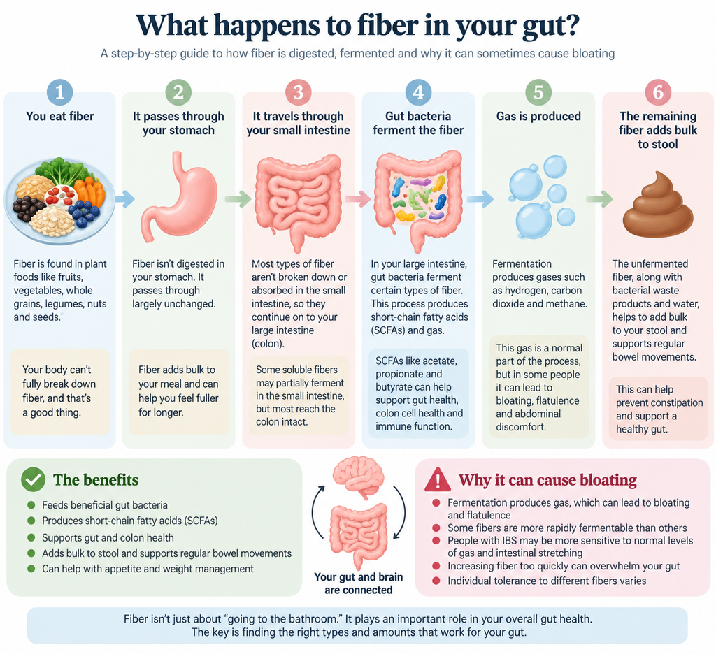 How to Increase Fiber Without Bloating