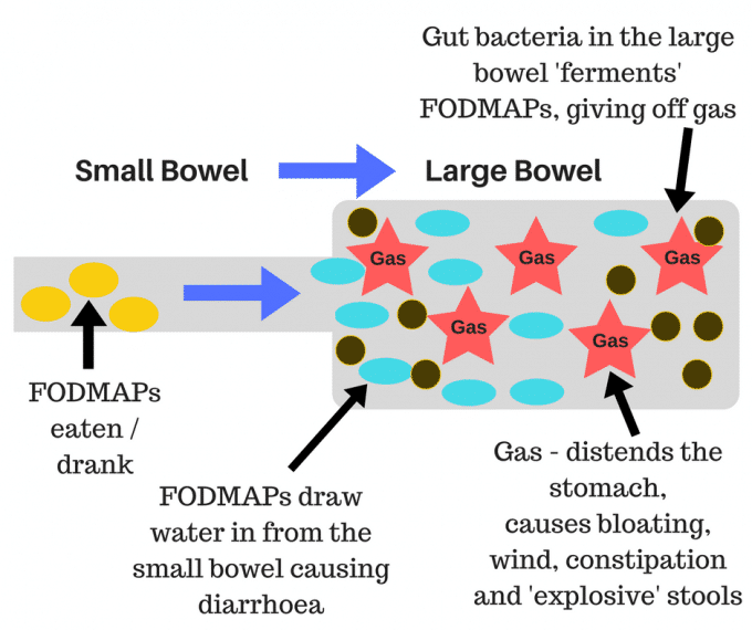 low FODMAP diet diagram