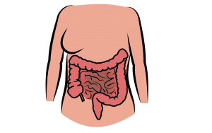 Irritable bowel syndrome