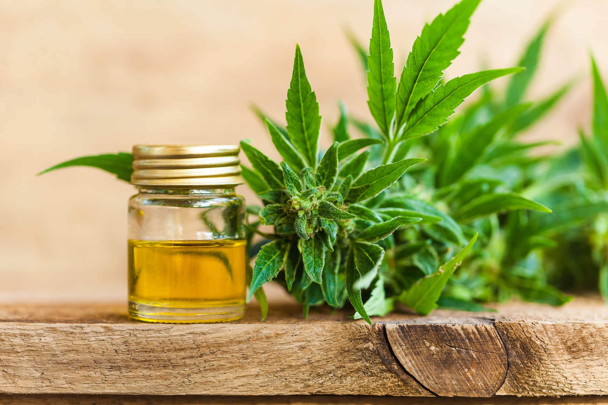 CBD oil IBS treatment