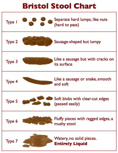 Bristol stool chart