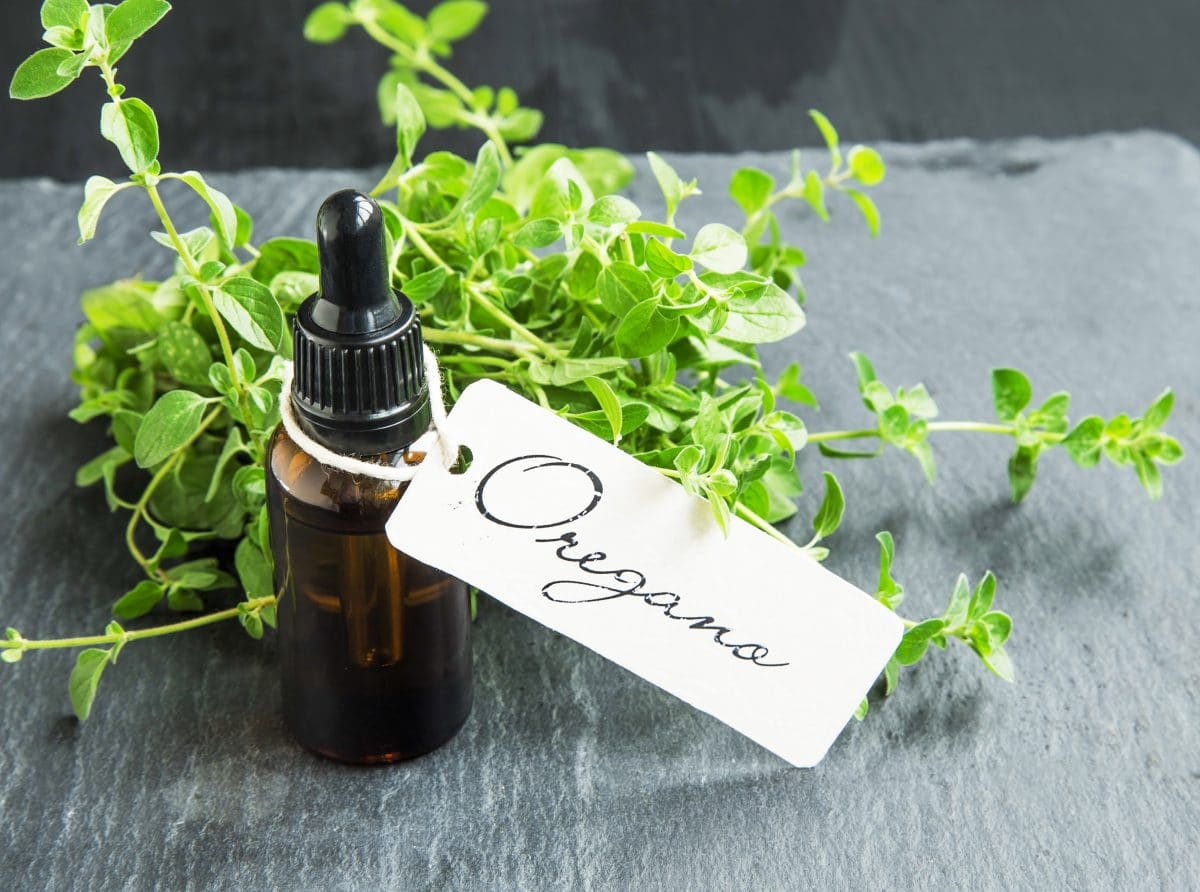 oregano oil and IBS