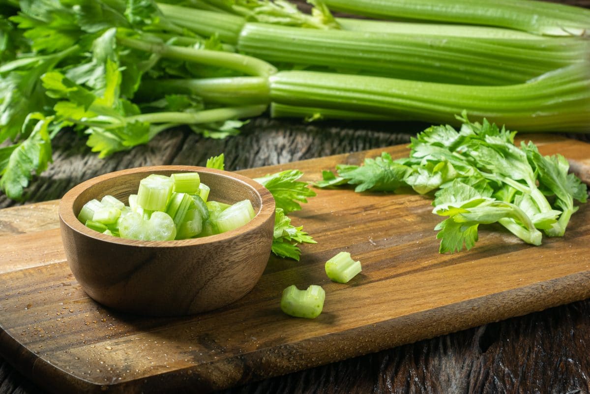 low FODMAP celery