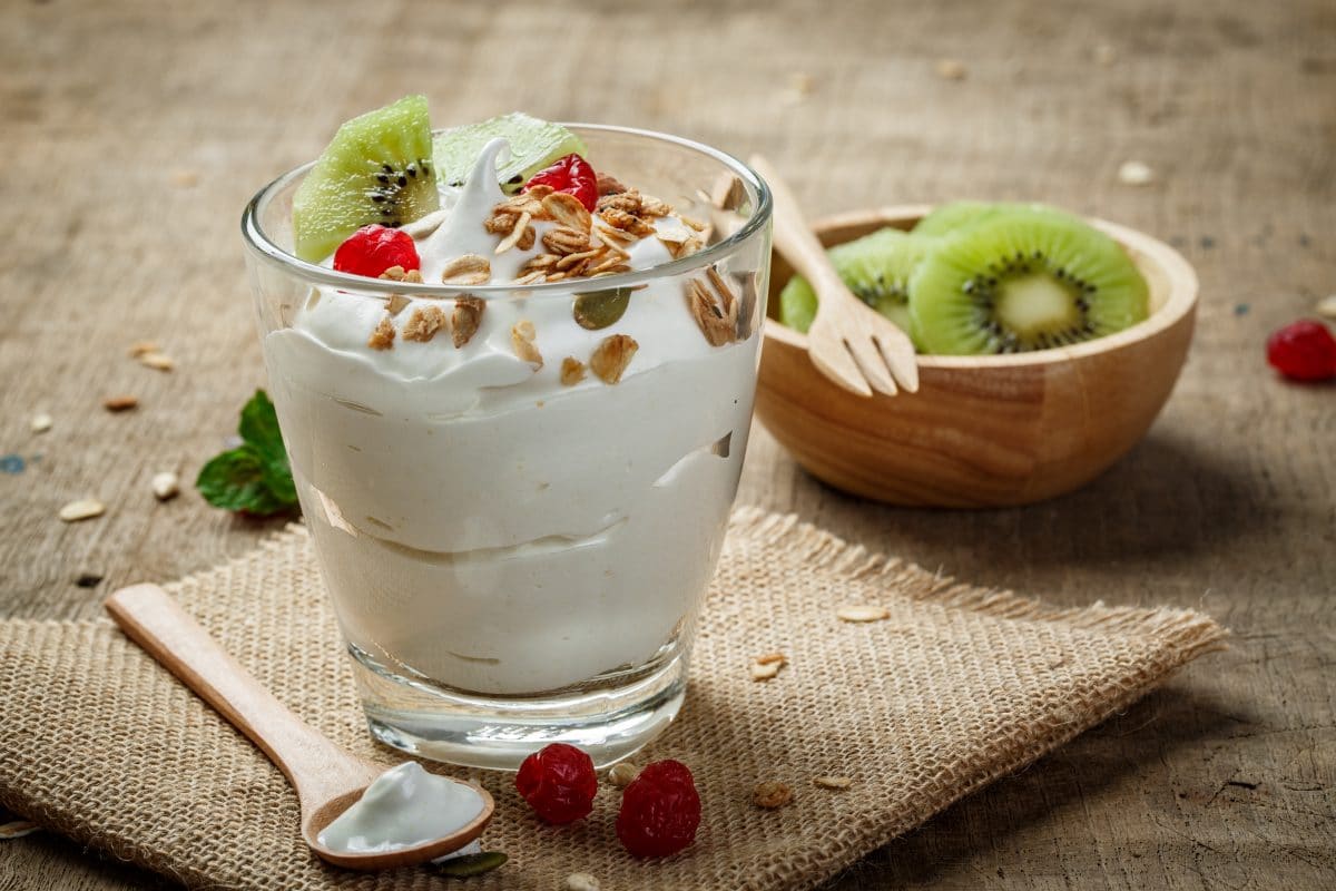 Low fodmap yogurt