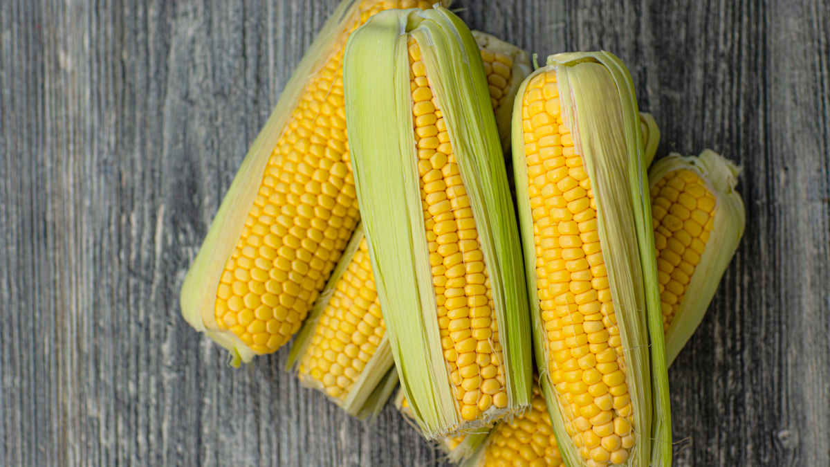 Is corn low FODMAP?