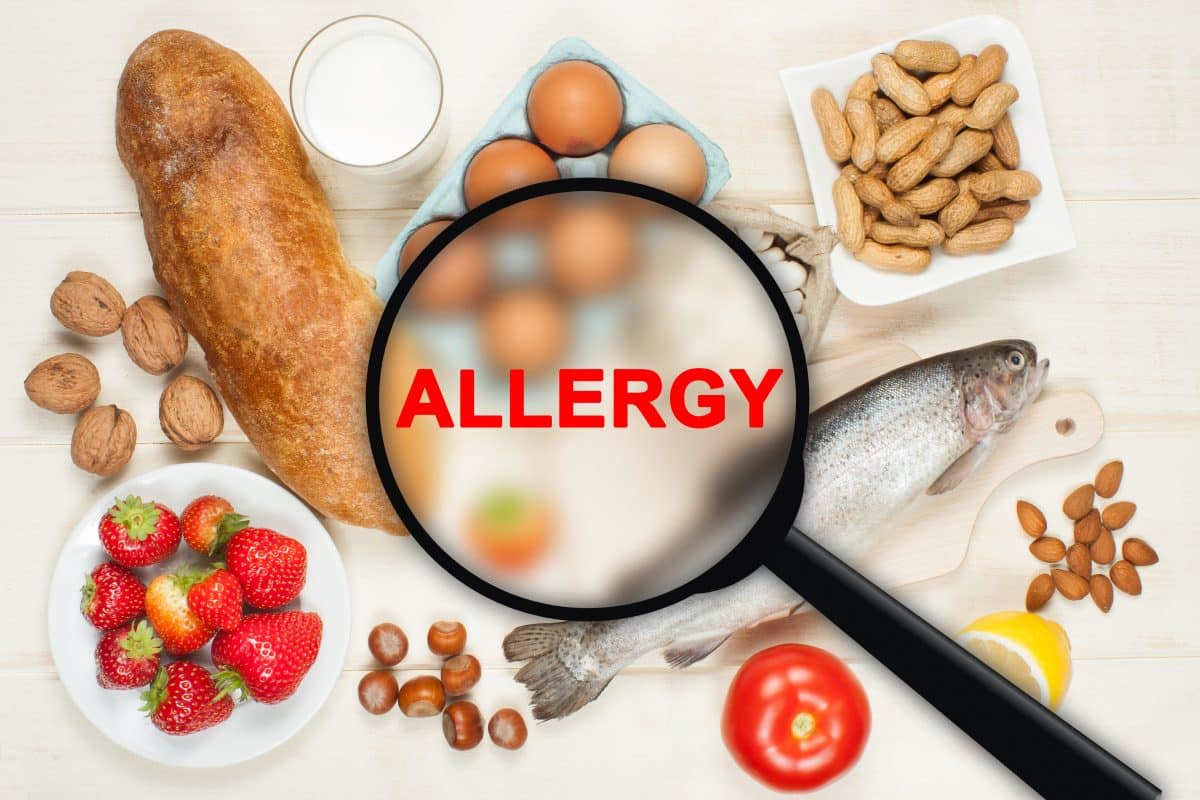 food allergy test