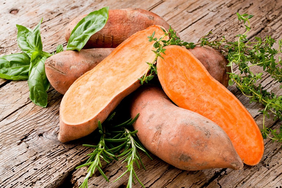 is sweet potato low FODMAP?