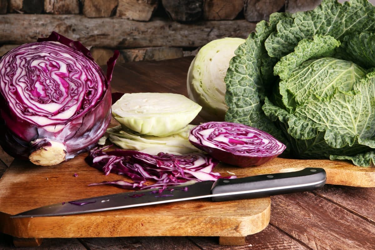 is cabbage low FODMAP