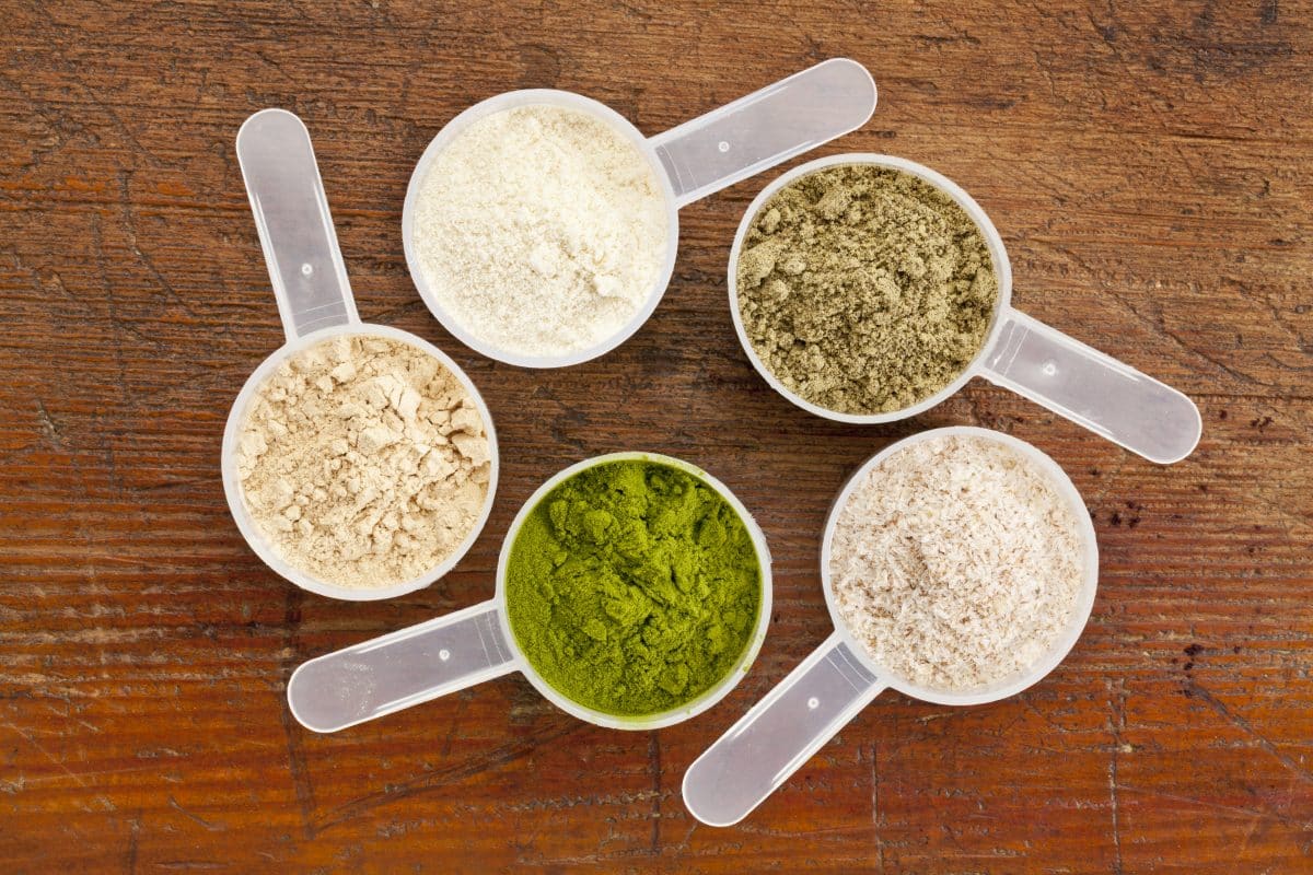 low FODMAP protein powder