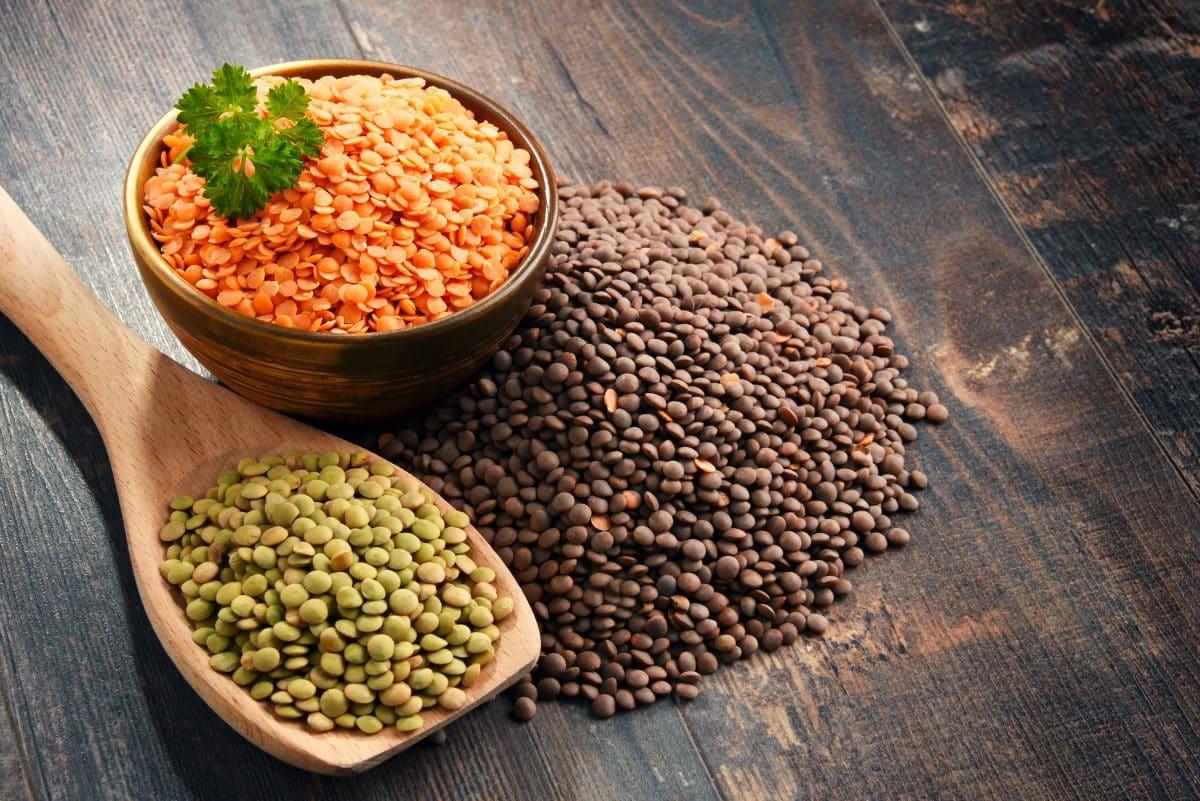 fodmap lentils 