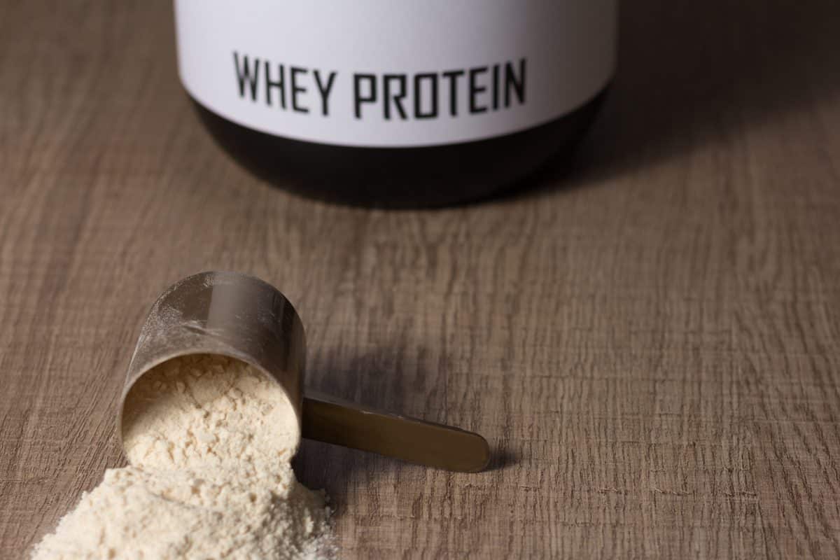 does whey protein cause constipation