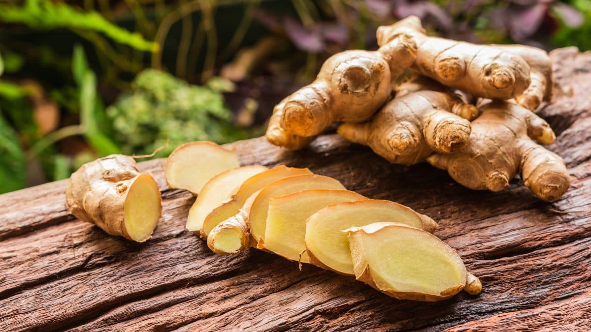 ginger FODMAP