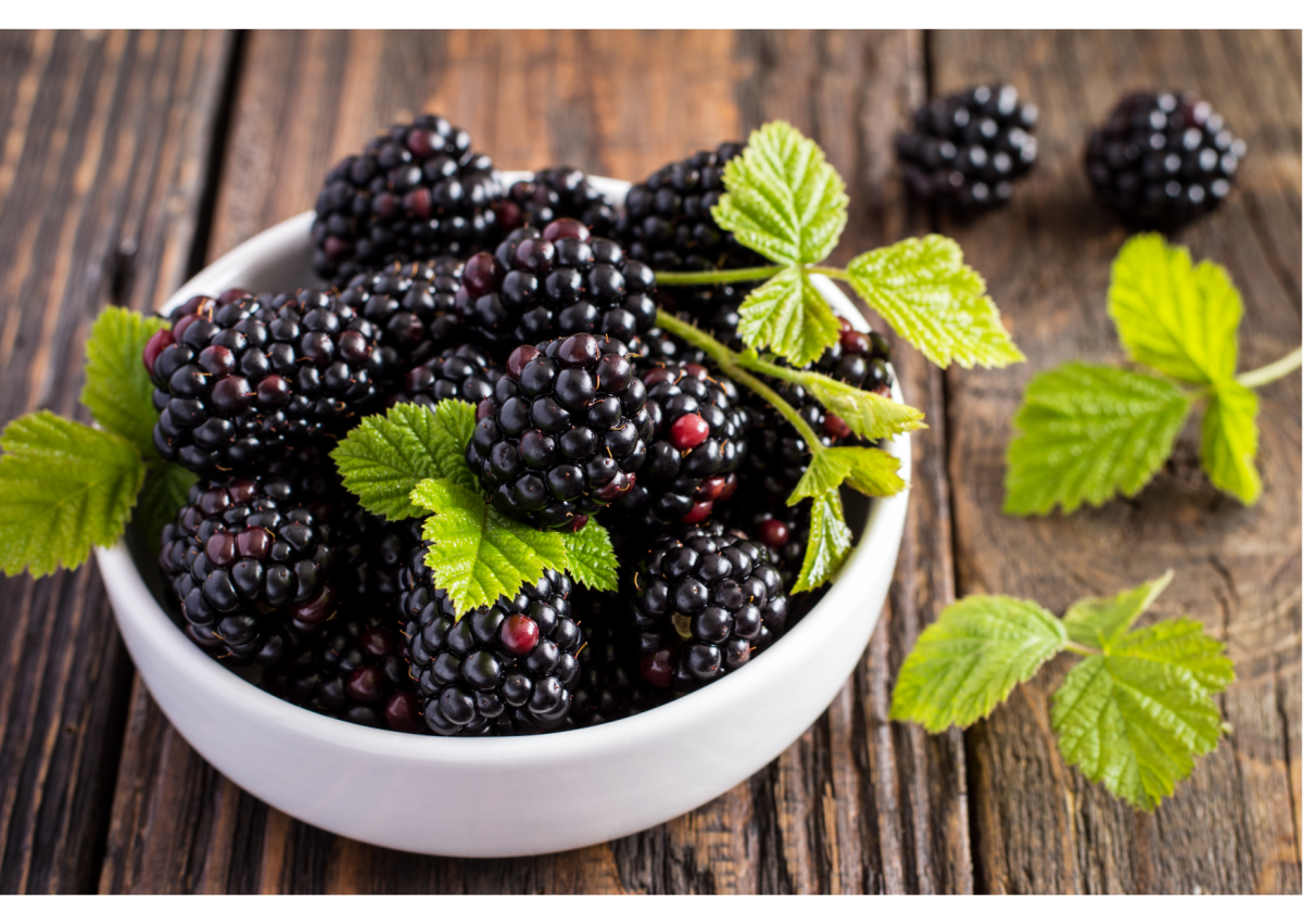 blackberries fodmap