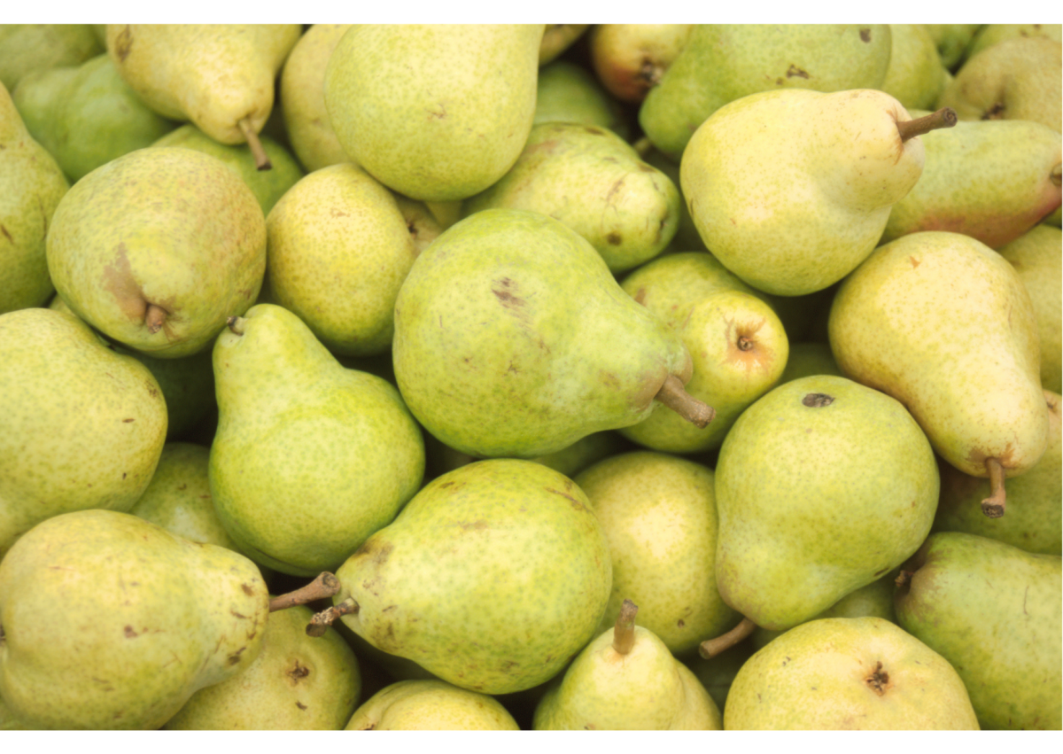 are pears low fodmap