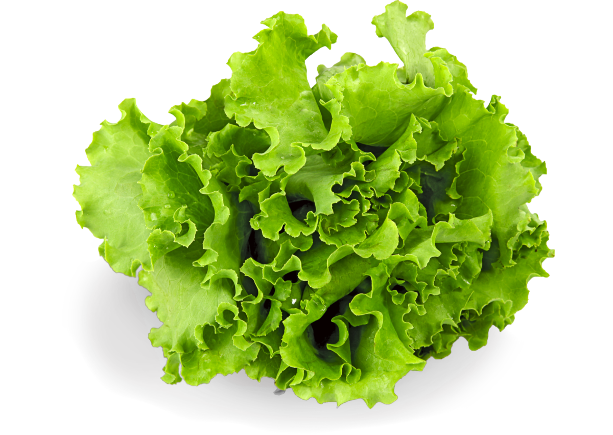 lettuce and ibs