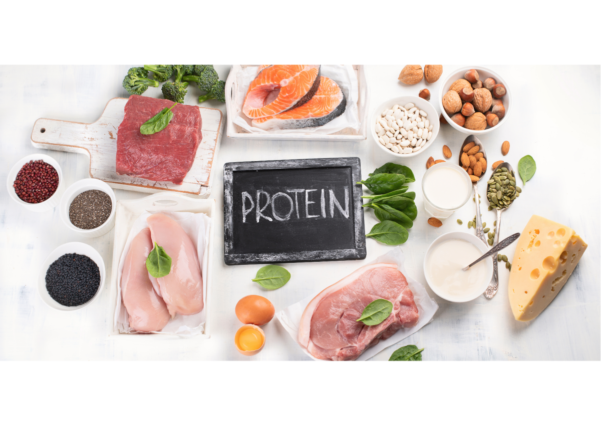 low fodmap protein