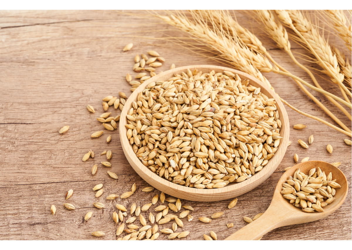 low fodmap grains